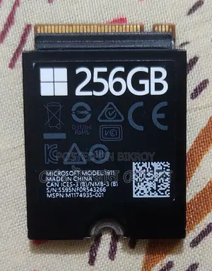 256GB SSD