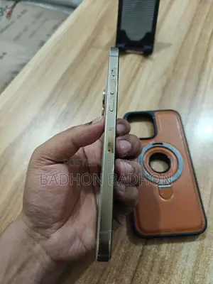 Apple iPhone 12 Pro Max (Used)