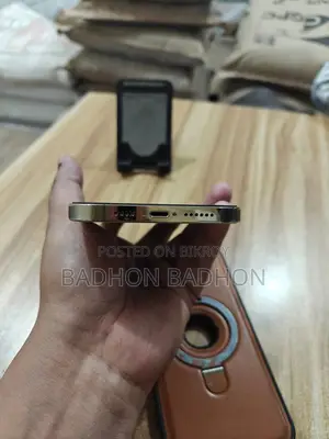 Apple iPhone 12 Pro Max (Used)
