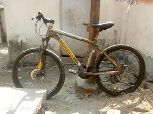 Phoenix Bicycle for Sale