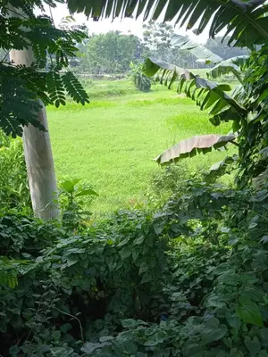 মিরেরবাজার টু সিলেট হাইওয়ে: ৪৫ শতাংশ স্বপ্নের জমি বিক্রয়