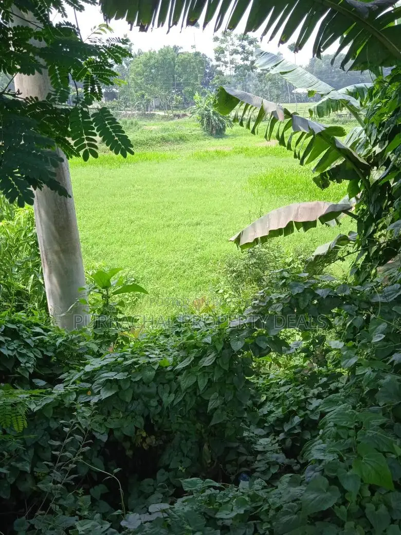 মিরেরবাজার টু সিলেট হাইওয়ে: ৪৫ শতাংশ স্বপ্নের জমি বিক্রয়