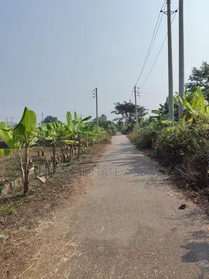 Sector=15, 3+3=6, Katha South Facing Plot Sale
