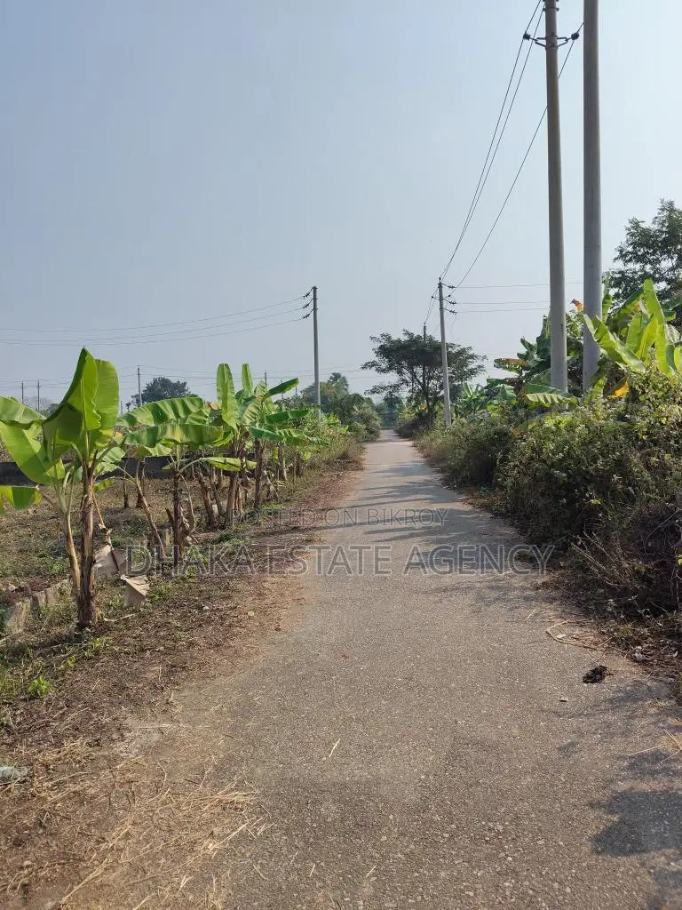 Sector=15, 3+3=6, Katha South Facing Plot Sale