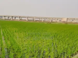 আশুলিয়া এলিভেটেড এক্সপ্রেসওয়ে সংলগ্ন জমি বিক্রয় হবে