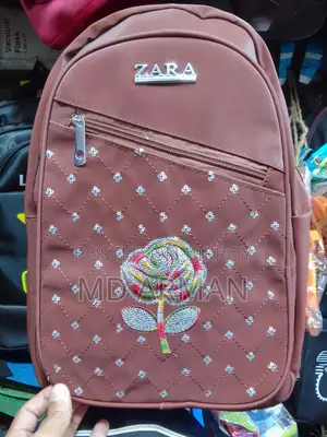 ZARA Bag