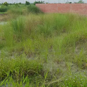 South-Facing Ready Plot for Sale @ 5 Katha