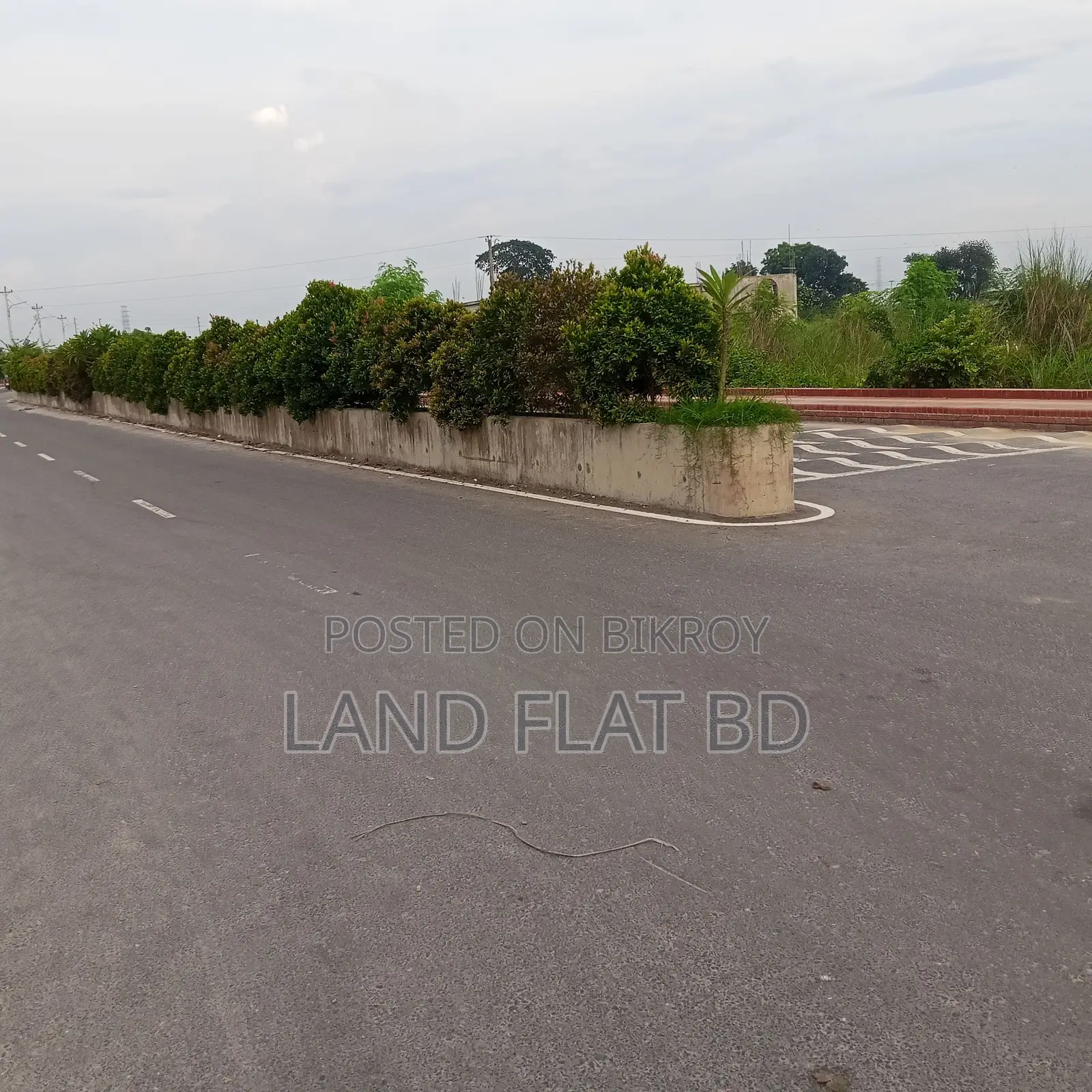 South-Facing Ready Plot for Sale @ 5 Katha