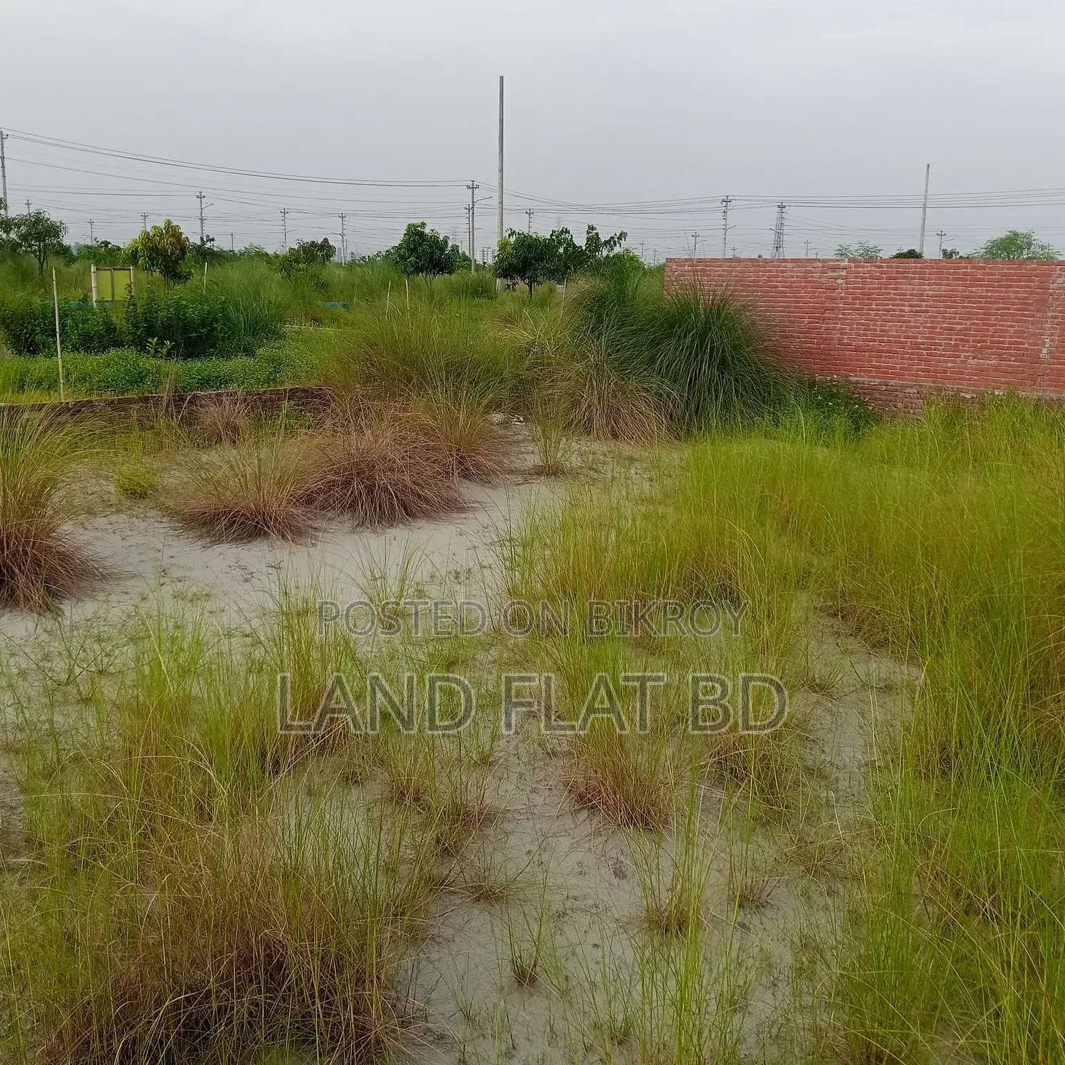 South-Facing Ready Plot for Sale @ 5 Katha