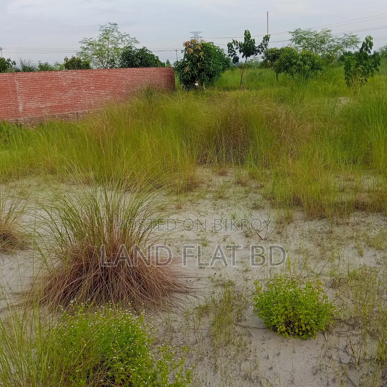South-Facing Ready Plot for Sale @ 5 Katha