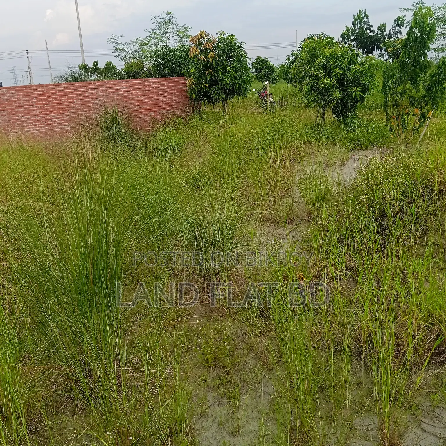 South-Facing Ready Plot for Sale @ 5 Katha