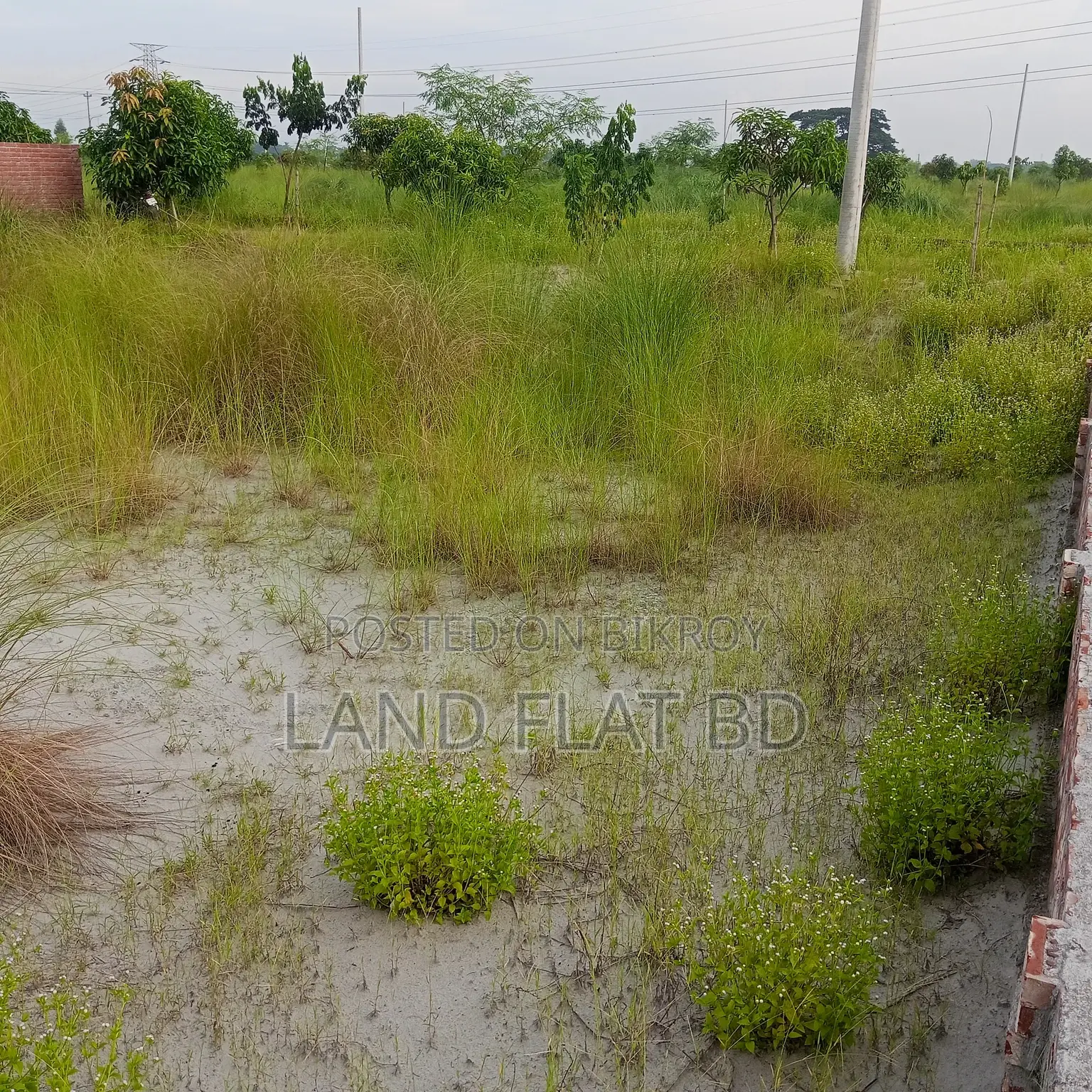 South-Facing Ready Plot for Sale @ 5 Katha