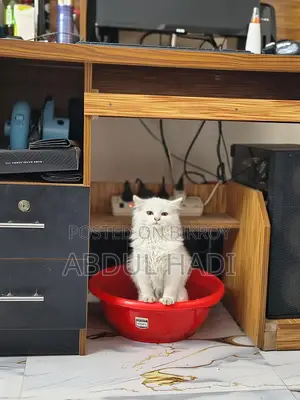 Cat sell