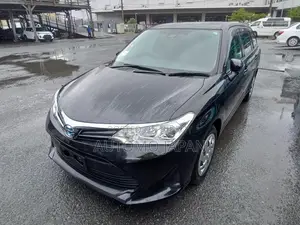 Toyota Fielder EX 2021