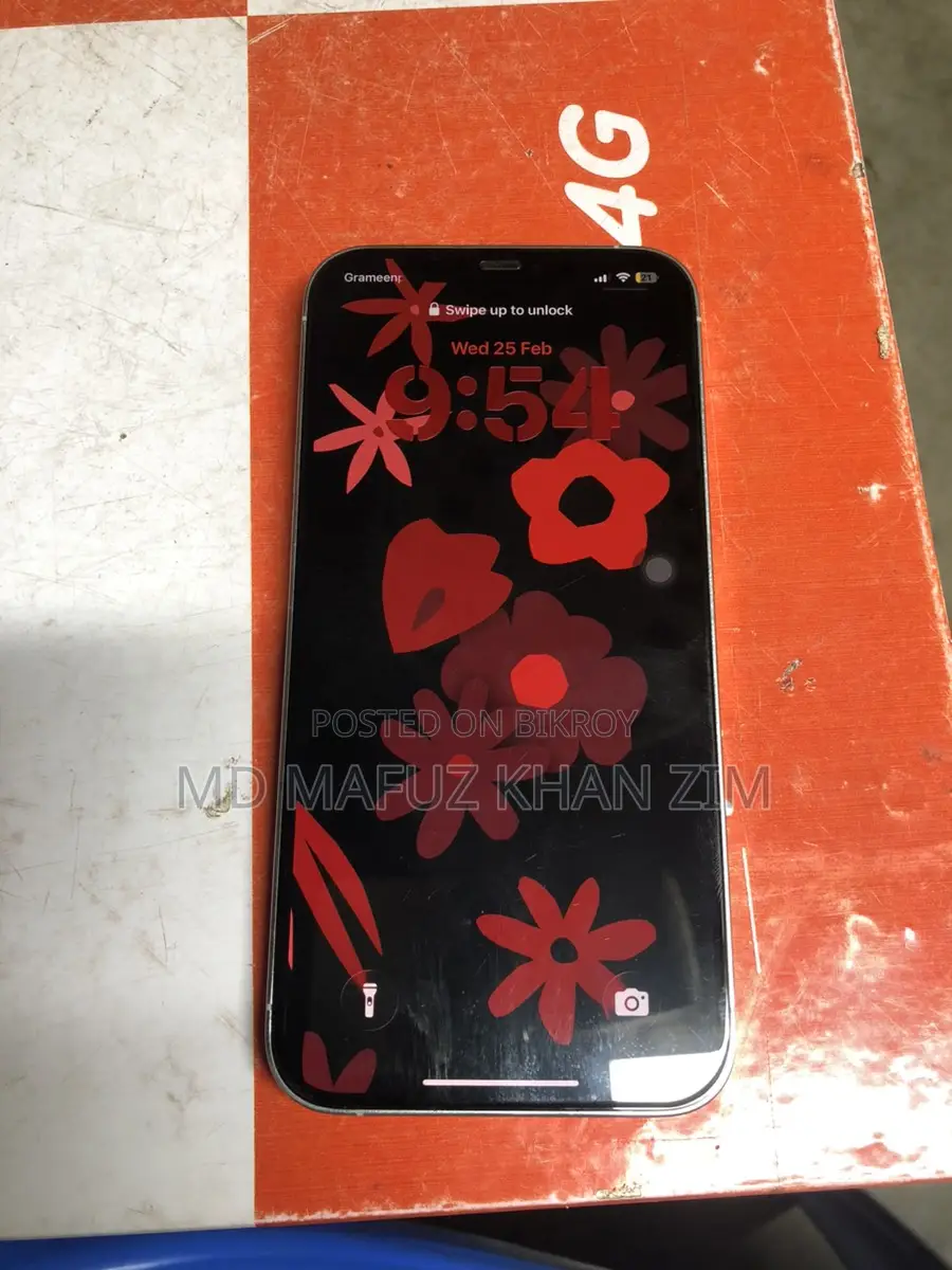 Apple iPhone 12 Pro Max Usa (Used)