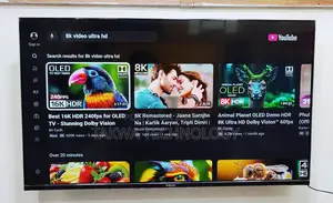 Vision-43" Inch Google Framless Voice Control TV