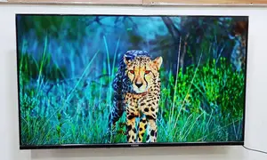 Vision-43" Inch Google Framless Voice Control TV