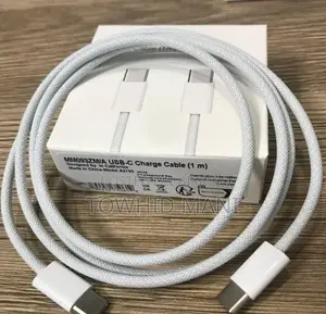 Apple iPhone 16 Pro Max (Used)