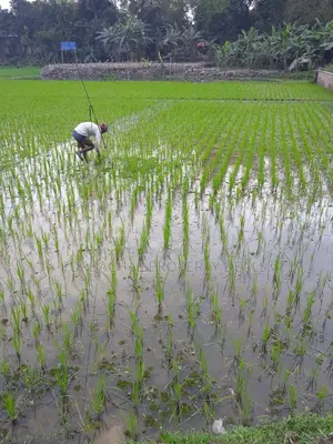 পূর্বাচলে জমি বিক্রয় – আপনার ভবিষ্যৎ বিনিয়োগ আজই