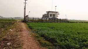 রাস্তার সাথে 30 শতাংশ জমি বিক্রি করা হবে