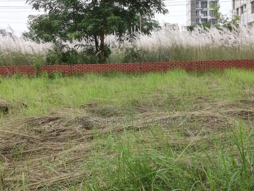 Commercial plot i-ext 20 katha