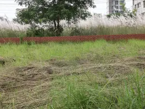 Commercial plot i-ext 20 katha