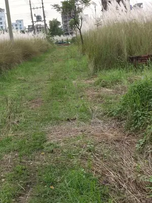 Commercial plot i-ext 20 katha
