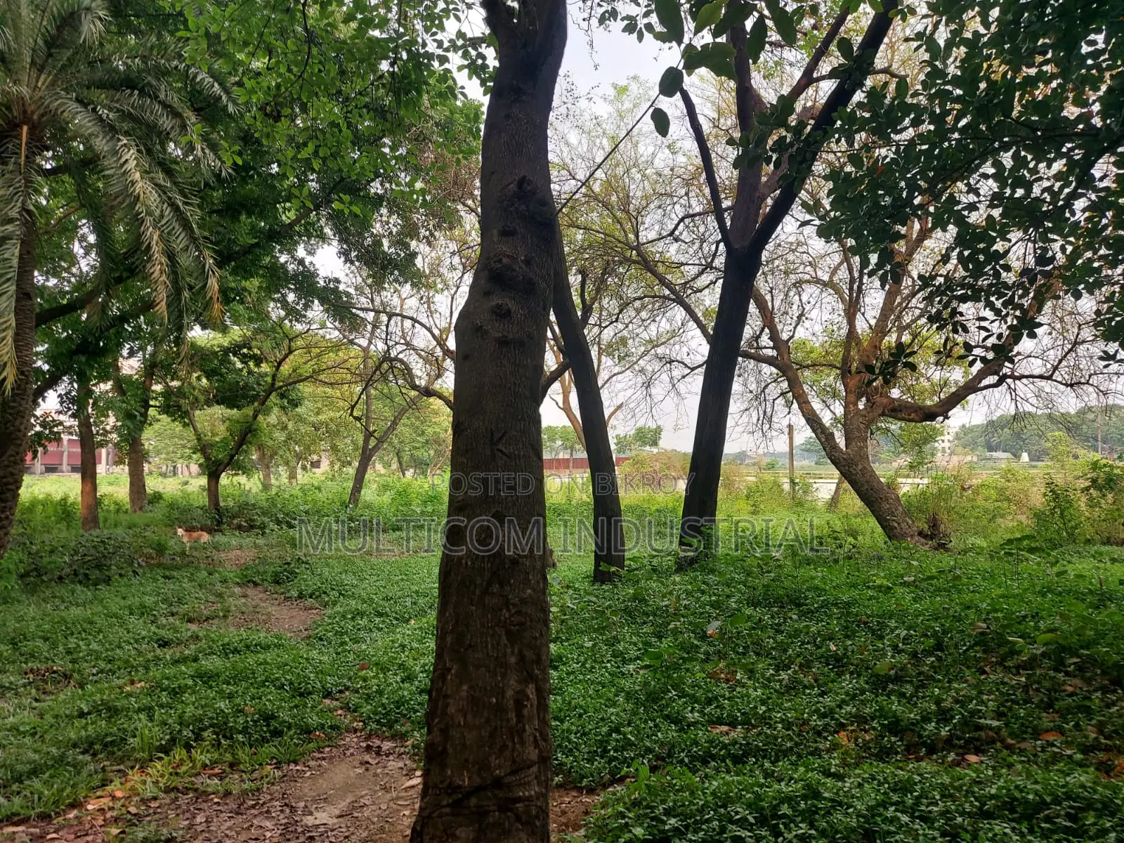 রূপসী, নারায়ণগঞ্জে ফ্যাক্টরির জন্য ২,৮৮,০০০ বর্গফুটের জমি