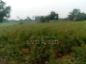 ক্রয় করুন নগদ অথবা পাঁচ বছরের কিস্তিতে @ 6 কাটা জমি