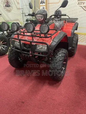 quad bike 2024