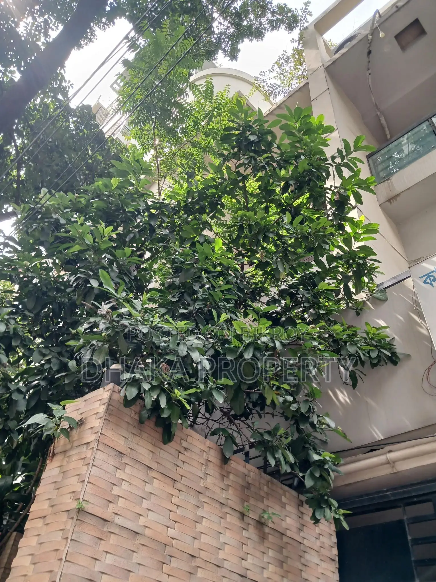 অফিসের জন্য বনানী এলাকায় ৭০০০ বর্গফুটের ইন্ডিপেন্ডেন্ট হাউস ভাড়া হবে
