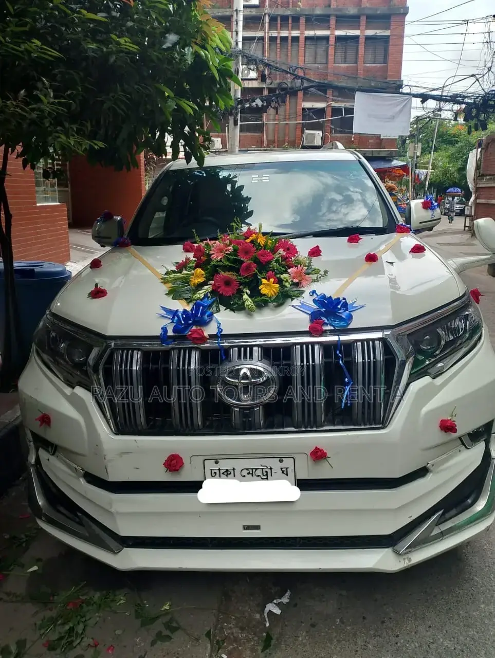 Prado For Rent
