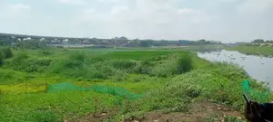 ১২.৫ কাঠার প্লট বিক্রয় হবে,কামারপারা ।