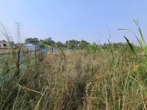 জরুরি ভিত্তিতে নিষ্কণ্টক জমি বিক্রয় হইবে।