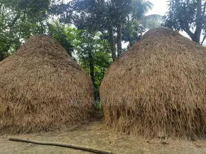 খড়ের পুজঁও বা পালা
