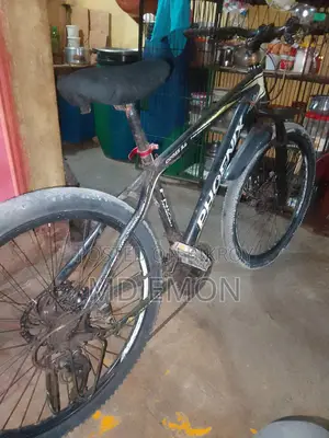 Phoenix Bicycle for Sale