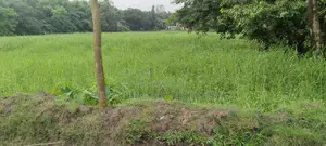 স্বপ্নের লোকেশন! পূর্বাচল ৩০ নং সেক্টরে দক্ষিণমুখী লেক ভিউ ২৬ শতাংশ জমি