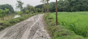 স্বপ্নের লোকেশন! পূর্বাচল ৩০ নং সেক্টরে দক্ষিণমুখী লেক ভিউ ২৬ শতাংশ জমি