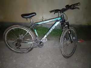 Duranta Bicycle for Sale