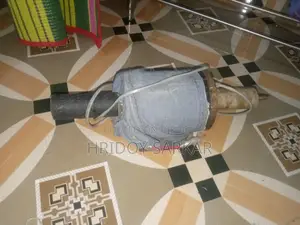 ক্যাঙ্গার জুতার ফিনিশিং মোটর