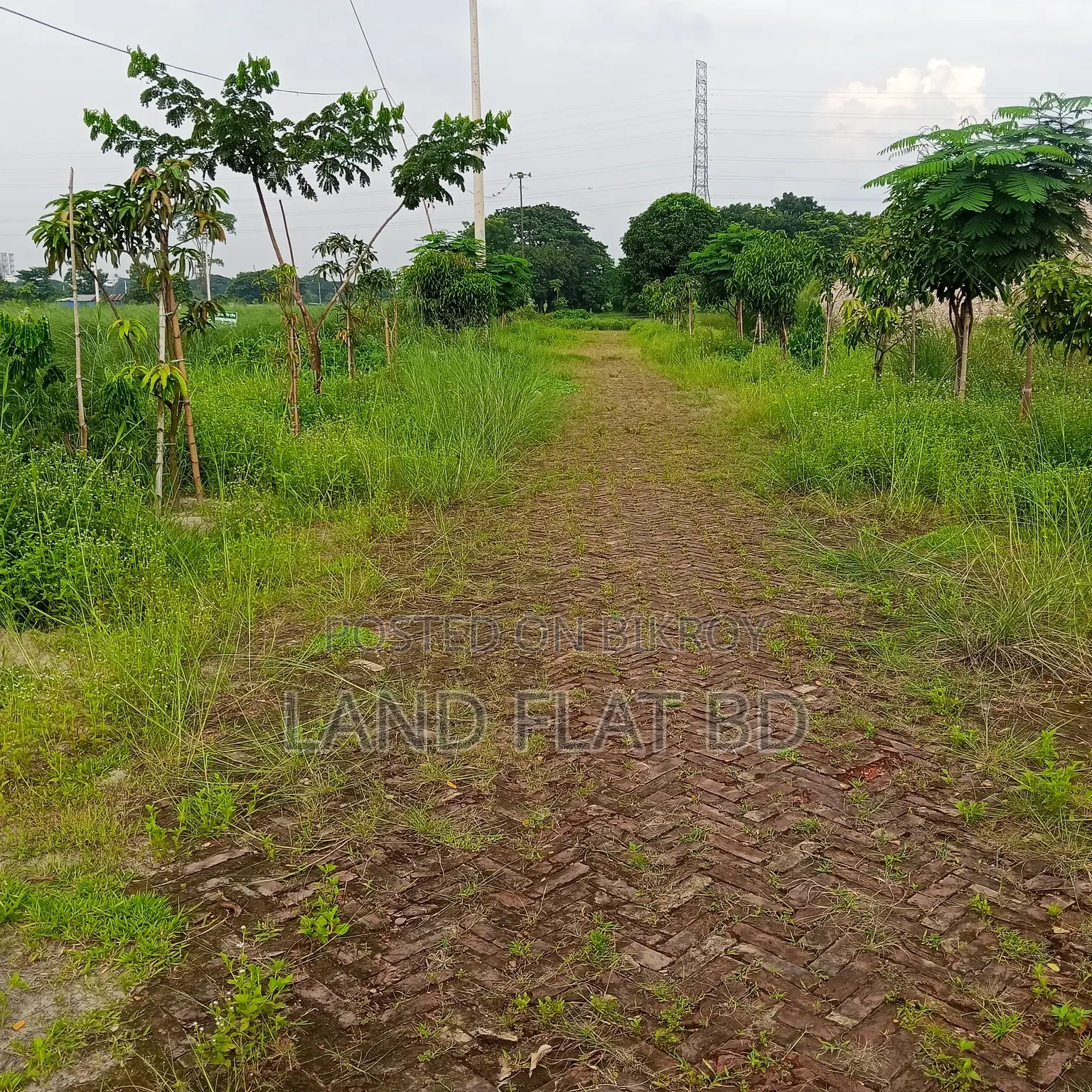 উত্তরমুখী বাড়ি করার উপযোগী @ 25 কাঠা প্লট বিক্রয়
