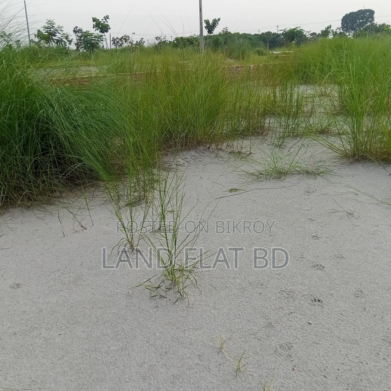 উত্তরমুখী বাড়ি করার উপযোগী @ 25 কাঠা প্লট বিক্রয়