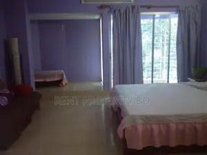 Fully Furnished Apartment Rent Banani