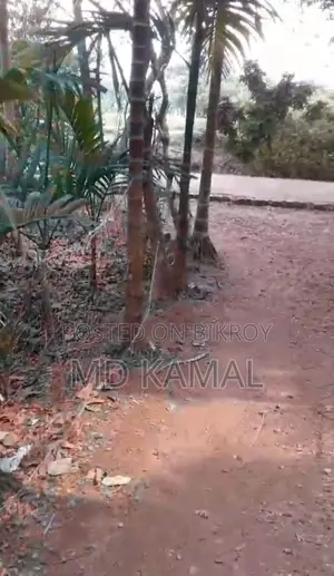 বাড়ির জিমি বিক্রয় করা হবে,পিজের রাস্তার সাথে