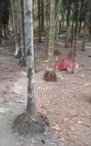 বাড়ির জমি বিক্রি করা হবে,পিজের রাস্তা সংলগ্ন