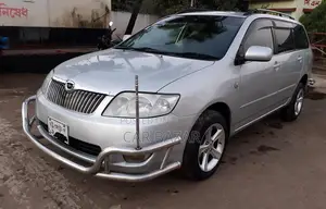 Toyota Corolla Fielder 2005 Silver