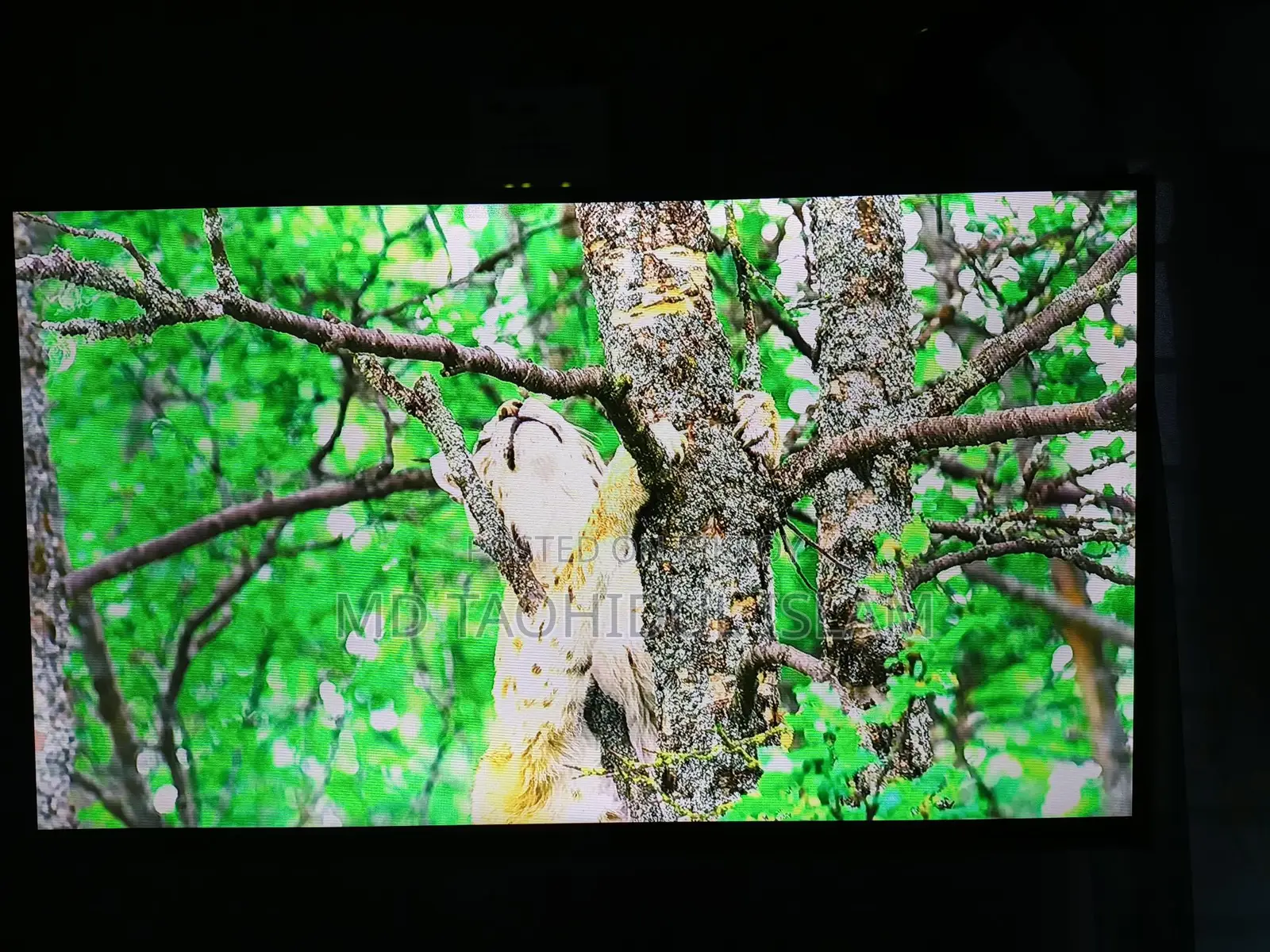 32" Vision Android TV for sale, urgently.