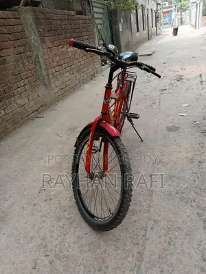 ফিনিক্স সাইকেল