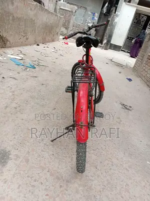 ফিনিক্স সাইকেল