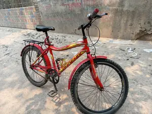 ফিনিক্স সাইকেল